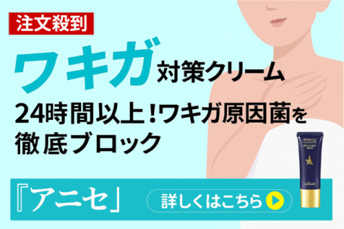 ワキガ対策クリームアニセ